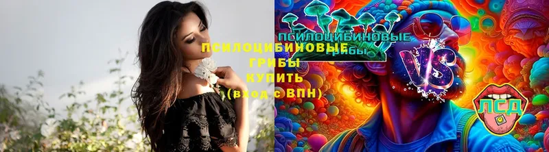 Псилоцибиновые грибы GOLDEN TEACHER  Кингисепп 